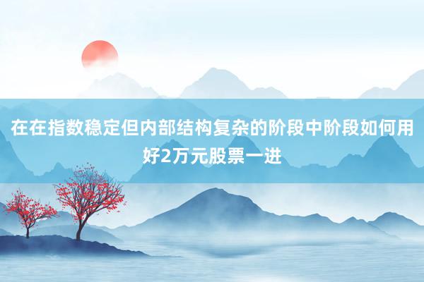 在在指数稳定但内部结构复杂的阶段中阶段如何用好2万元股票一进