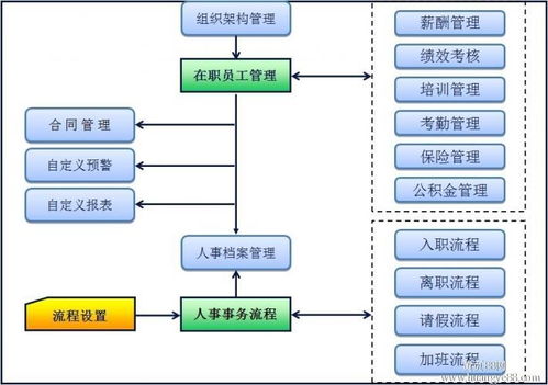 人力资源考勤系统